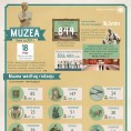 Infografika - Międzynarodowy Dzień Muzeów (18 maja) Foto