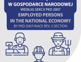 Pracujący w gospodarce narodowej według sekcji PKD 2007. Okładka