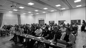 8th Expert Meeting on Statistics for Sustainable Development Goals &amp; 2024 Workshop on Statistics for SDGs, c-led by Stat