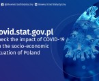 covid.stat.gov.pl - check the impact of COVID-19 on the socio-economic situation of Poland Foto