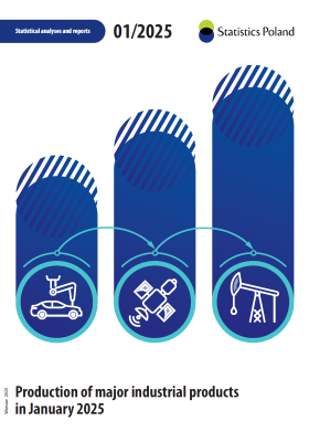 Production of major industrial products in January 2025 Cover