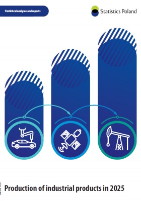 Production of industrial products in 2025. Cover of the publication