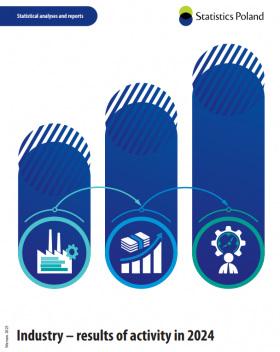 Industry - results of activity in 2024