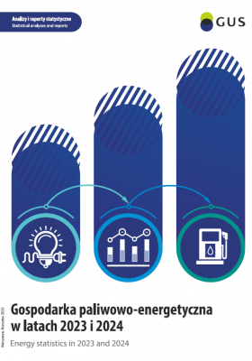 Energy statistics in 2023 and 2024. Cover of the publication