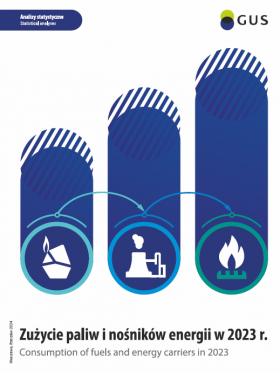 Cover of &quot;Consumption of fuels and energy carriers in 2023&quot; publication