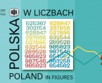 Poland in figures 2014 Foto