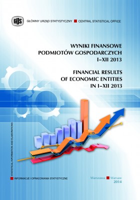 Financial results of economic entities in I–XII 2013