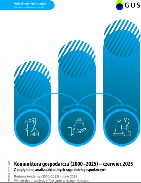 Cover of &quot;Business tendency (2000–2025) - June 2025&quot;