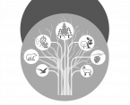 Statistical Yearbook of Forestry 2022 Foto
