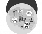 Statistical Yearbook of Agriculture 2021 Foto