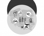 Statistical Yearbook of Agriculture 2022 Foto