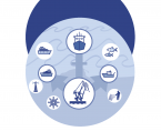Statistical Yearbook of Maritime Economy 2022 Foto