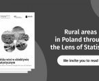 Rural Areas in Poland through the Lens of Statistics Foto