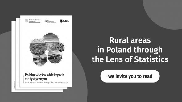 Rural Areas in Poland through the Lens of Statistics