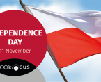 Infographics - Independence Day (11 November) Foto