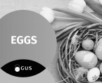 Infographic - Eggs Foto