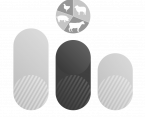 Farm animals in 2023 Foto