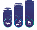 Livestock in 2025 Foto