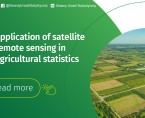 Results of the application of satellite remote sensing methods for the development of a preliminary estimate of the main agricultural and horticultural crops Foto