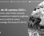 Badanie statystyczne z zakresu rolnictwa od 1 do 28 czerwca 2022 r. Foto