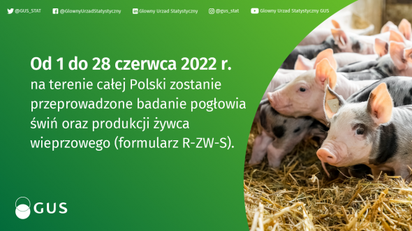 Badanie statystyczne z zakresu rolnictwa od 1 do 28 czerwca 2022 r.