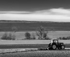 Ceny produktów rolnych w kwietniu 2016 roku Foto