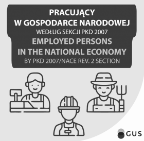 Pracujący w gospodarce narodowej według sekcji PKD 2007. Okładka