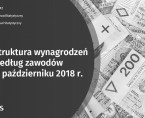 Struktura wynagrodzeń według zawodów w październiku 2018 roku Foto