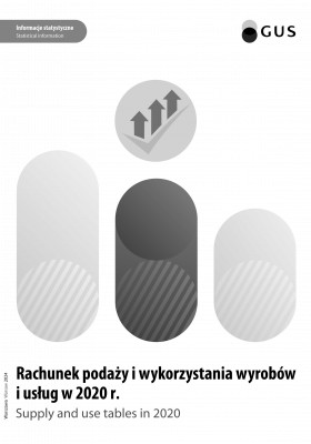 Rachunek podaży i wykorzystania wyrobów i usług w 2020 roku Okładka