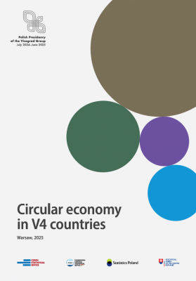Okładka publikacji Circular economy in V4 countries