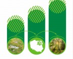 Zielone Płuca Polski w 2024 roku Foto