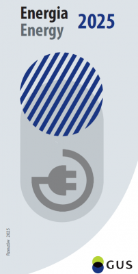 Okładka publikacji