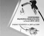 Gospodarka paliwowo-energetyczna w latach 2013 i 2014 Foto