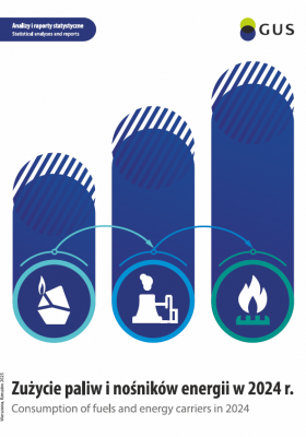 Zużycie paliw i nośników energii w 2024 r. Okładka publikacji