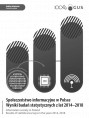 Społeczeństwo informacyjne w Polsce. Wyniki badań statystycznych z lat 2014-2018 Foto