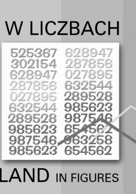 Polska w liczbach 2013