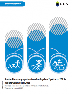 Analizy i raporty statystyczne, Zielona Góra 2026, Główny Urząd Statystyczny