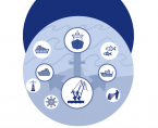 Rocznik Statystyczny Gospodarki Morskiej 2021 Foto