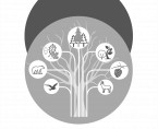Rocznik Statystyczny Leśnictwa ​2024 Foto