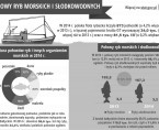 Światowy Dzień Rybołówstwa - infografika Foto