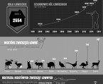 Infografika – Łowiectwo (3 listopada Święto myśliwych – Hubertus) Foto