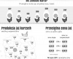Infografika - Jajka Foto