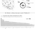 Infografika - Światowy Dzień Zdrowia (7 kwietnia) Foto