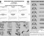 Infografika - Koniunktura gospodarcza w Polsce w marcu 2017 r. Foto