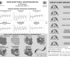 Infografika - Koniunktura gospodarcza w Polsce w kwietniu 2017 r. Foto