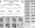 Infografika - Koniunktura gospodarcza w Polsce w maju 2017 r. Foto