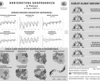Infografika - Koniunktura gospodarcza w Polsce w lipcu 2017 r. Foto