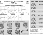 Infografika - Koniunktura gospodarcza w Polsce w sierpniu 2017 r. Foto
