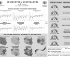 Infografika - Koniunktura gospodarcza w Polsce we wrześniu 2017 r. Foto