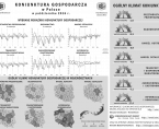 Infografika - Koniunktura gospodarcza w Polsce w październiku 2016 r. Foto